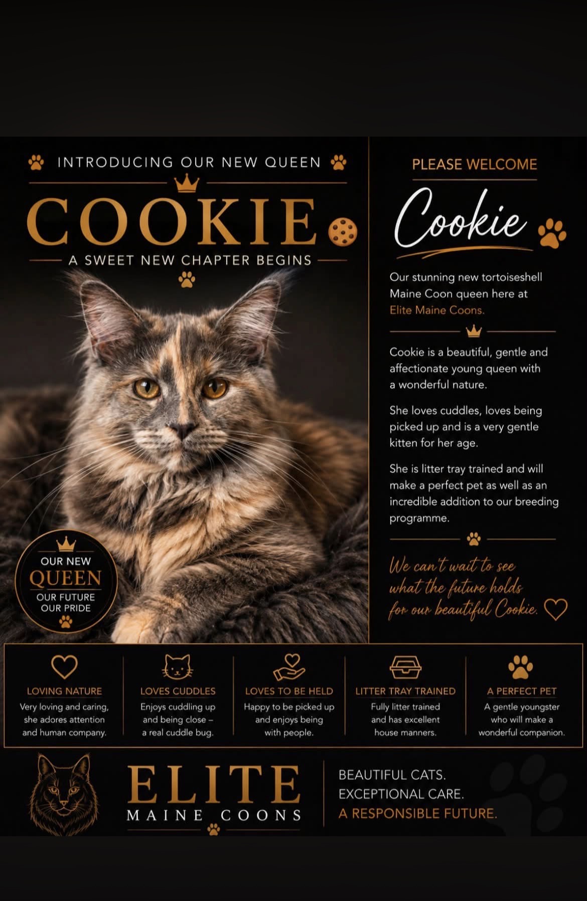 Cookie's illustrated EMC introduction