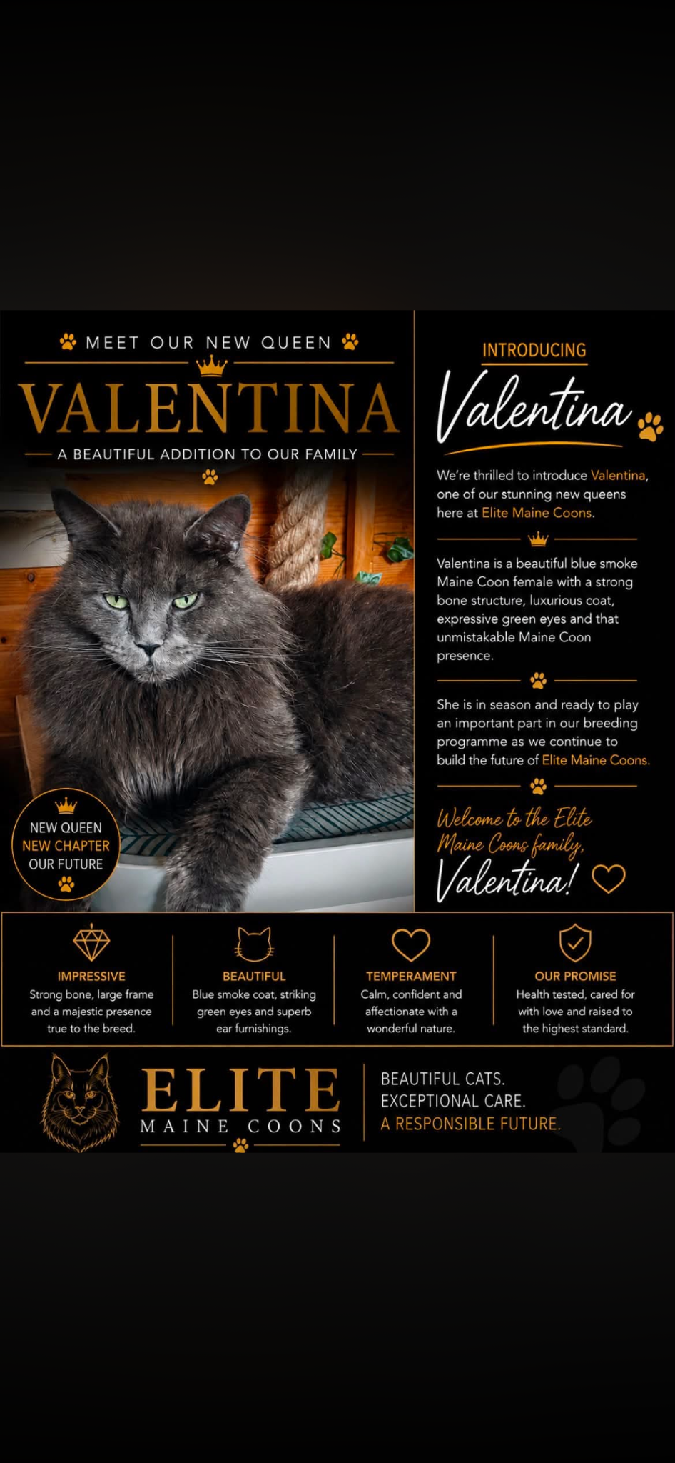 Valentina's illustrated EMC introduction