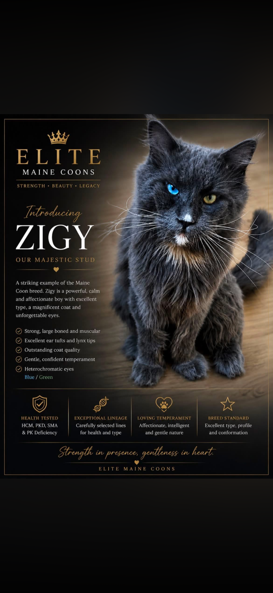 Ziggy's illustrated EMC introduction